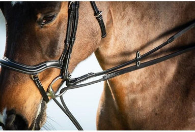 Produktbild von Zügel HFI