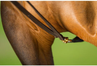 Produktbild von Zügel HFI