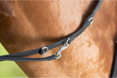 Produktbild von Zügel HFI