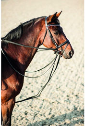 Produktbild von Zügel HorseGuard