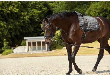 Produktbild von Zügel HorseGuard