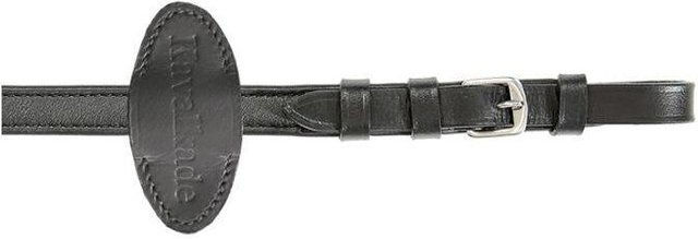 Zügel Kavalkade – Bild 1 von 2