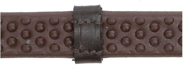 Zügel Kavalkade – Bild 1 von 2