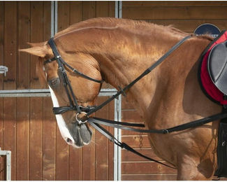 Produktbild von Zügel Norton Club