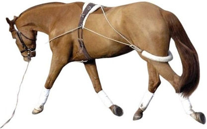 Produktbild von Zügel Pessoa Ruiz-Diaz Pessoa