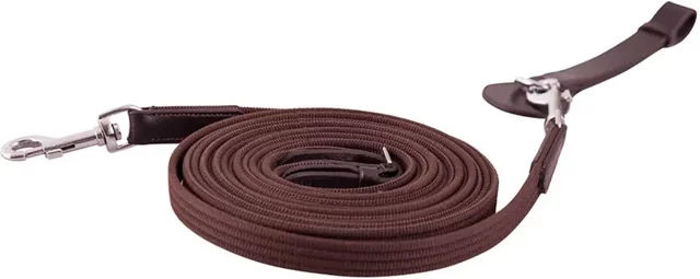 Zügel Premiere – Bild 1 von 2