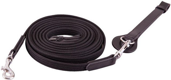 Zügel Premiere – Bild 1 von 2