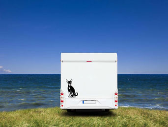 Produktbild von Zwergpinscher Auto Wohnmobil Aufkleber