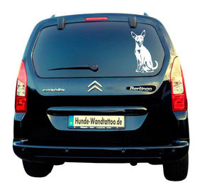 Produktbild von Zwergpinscher Auto Wohnmobil Aufkleber I Wandtattoo