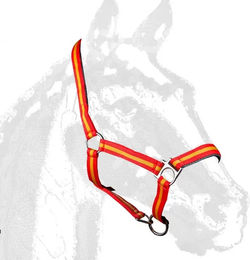Produktbild von Zaldi Castecus Pony Halfter aus Nylon in Rot oder Bunt