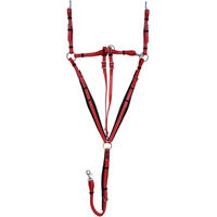 Produktbild von Zaldi Jagdhalsband mit Martingal für Pferde aus Biothane in Rot