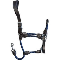 Produktbild von Zaldi Leder Halfter und Longiergurt Set für Pferde