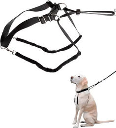 Produktbild von Zaldi Maxi Leader Hundegeschirr aus Nylon in Schwarz Größe M wasserabweisend