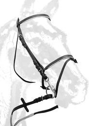 Zaldi Reitstrang mit Gummizügel aus Leder für Ponys in Schwarz oder Weiß – Bild 1 von 1