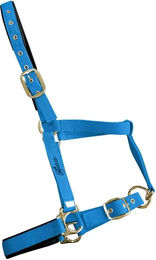 Produktbild von Zaldi Reittrense 4022SM für Pferde aus Nylon in Blau/Gold für Vollblut