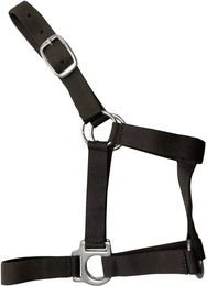 Zaldi Reittrense aus Leder für Pferde Cob Schwarz O278 – Bild 1 von 1