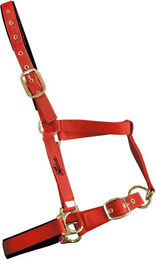 Produktbild von Zaldi Reittrense für Pferde aus Nylon in Rot und Gold 4022SM