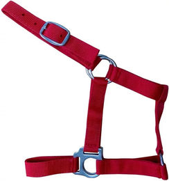 Zaldi Reittrense O278 aus Leder in Rot für Pferde Cob – Bild 1 von 1