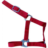 Produktbild von Zaldi Reittrense O278 aus Leder in Rot für Pferde Cob