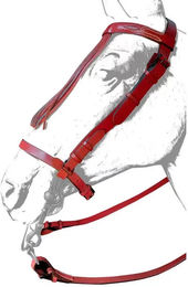 Produktbild von Zaldi Ronda Reittrense für Pferde aus Leder