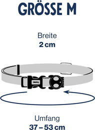 Produktbild von Zee.Dog Hundehalsband aus Polyester in Grün Größe M