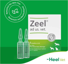 Zeel VET 5 x 5 ml Ampullen – Bild 1 von 1