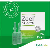 Produktbild von Zeel VET 5 x 5 ml Ampullen