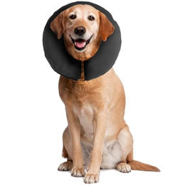 ZenPet Pro Collar Comfy E-Halsband für Hunde Größe XL – Bild 1 von 9
