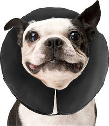 ZenPet Pro Collar XS – Bild 1 von 2