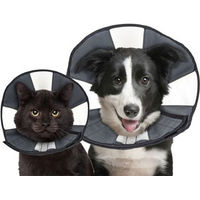Produktbild von ZenPet Zen Collar Hundehalsband Schwarz Größe S