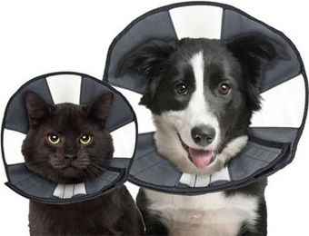 ZenPet Zen Collar Schutzkragen Größe M in Schwarz und Grau – Bild 1 von 4