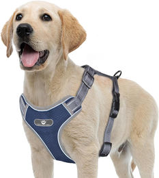 Zerodis Hundegeschirr reflektierend und verstellbar aus Polyester Blau Größe S – Bild 1 von 5
