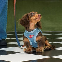 Produktbild von Zeze Denim Hund Set mit Brustgeschirr und Leine Blau Größe S