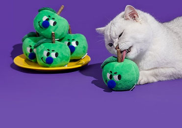 zeze Grüner Apfel Silvervine-Spielzeug aus Samt für Katzen – Bild 1 von 1