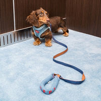 Produktbild von Zeze Hund Set aus Brustgeschirr, Halsband und Leine in Denim Blau Größe XS Mini