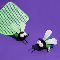 Produktbild von zeze Katzenspielzeug Green Fly aus Plüsch mit Katzenminze