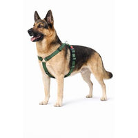 Produktbild von Ziggi Kaki Hundegeschirr H-Form aus Nylon in Größe XL verstellbar