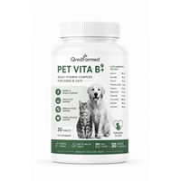 Produktbild von ZIMETER PET VITA B+ Vitamin-Komplex für Hunde und Katzen Adult zur Unterstützung von Haut, Fell, Energie und Vitalität 30 Tabletten