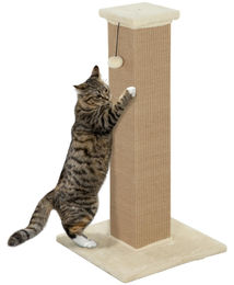Zimtky Kratzbaum für Katzen mit 81 cm hohem Kratzpfosten und Sisal-Kratzmatte inklusive Spielball zur Möbelschonung – Bild 1 von 1