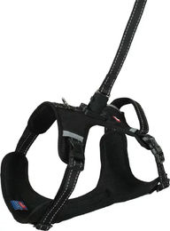 Zolux Clip and Go Hundegeschirr mit 2m Leine Magnetsystem Schwarz Größe L für große Hunde – Bild 1 von 2