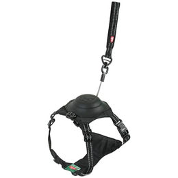 Produktbild von Zolux Easy Ride Hundegeschirr mit integrierter Rollleine für Welpen und kleine Rassen Schwarz XS
