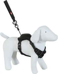 Zolux Easy Ride Hundegeschirr und Rollleine Set Schwarz Größe L – Bild 1 von 2