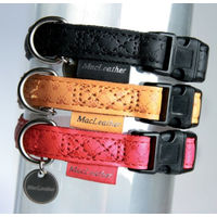 Produktbild von Zolux Hundehalsband aus Nylon in Gelb mit verstellbarem Umfang 46-70 cm
