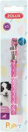 Produktbild von Zolux Puppy Pixie Hundeleine aus Nylon für Welpen 120 cm