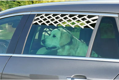 Produktbild von Zolux Sicherheitsgitter für Hund Autofenster aus Metall in Schwarz oder Beige