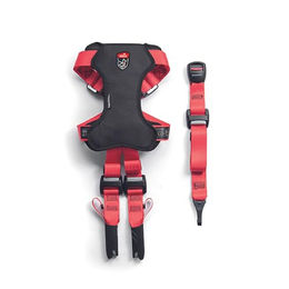 Zolux Travel Safe Auto-Sicherheitsgeschirr für Hunde Größe S Rot mit ISOFIX und Top Tether nach ECE R44/R129 – Bild 1 von 4