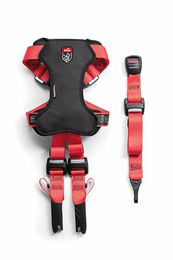 Zolux Travel Sicherheitsgeschirr für Hunde mit ISOFIX und Top Tether, Crash geprüft ECE R44/R129, Größe M, Rot – Bild 1 von 10