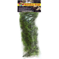 Produktbild von Zoo Med Cashuarina Kunststoffpflanze zur Terrariendekoration 46cm