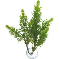 Produktbild von Zoo Med Kunstpflanze Ahornblatt für Süßwasser-Aquarien und Fische in Grün