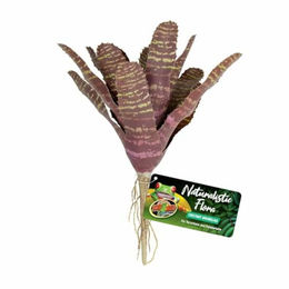Produktbild von Zoo Med Naturalistic Flora Chestnut Bromeliad Dekopflanze Vriesea fosteriana als Versteck für Reptilien und Amphibien